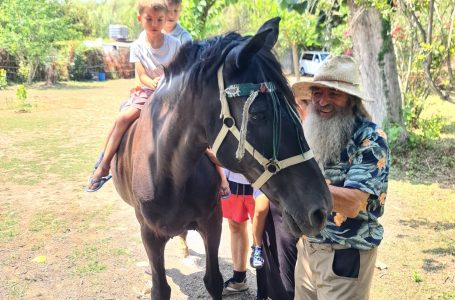 «La relación con los caballos mejora la comunicación de los autistas», plantea Lorenzo Lucarelli, presidente de la Asociación Española de Equinoterapias