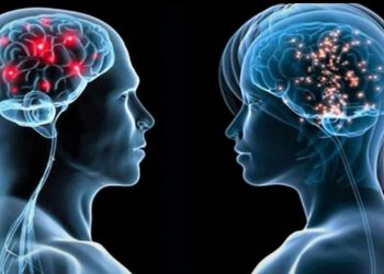 Un veterinario y un médico hablan de la hormona de la felicidad, DHEA, de la poderosa alga Afa…, de las claves del antiaging en animales y personas