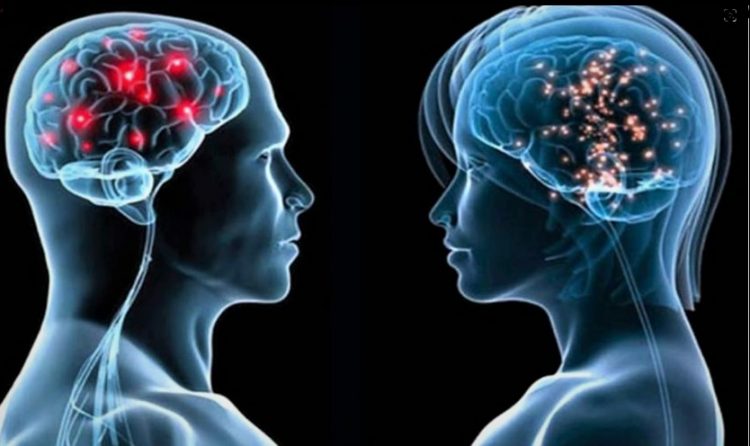 Un veterinario y un médico hablan de la hormona de la felicidad, DHEA, de la poderosa alga Afa…, de las claves del antiaging en animales y personas