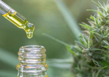 CBD De Pata Verde por Madrid Market