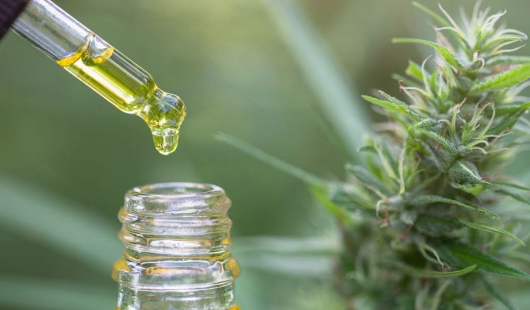 CBD De Pata Verde por Madrid Market