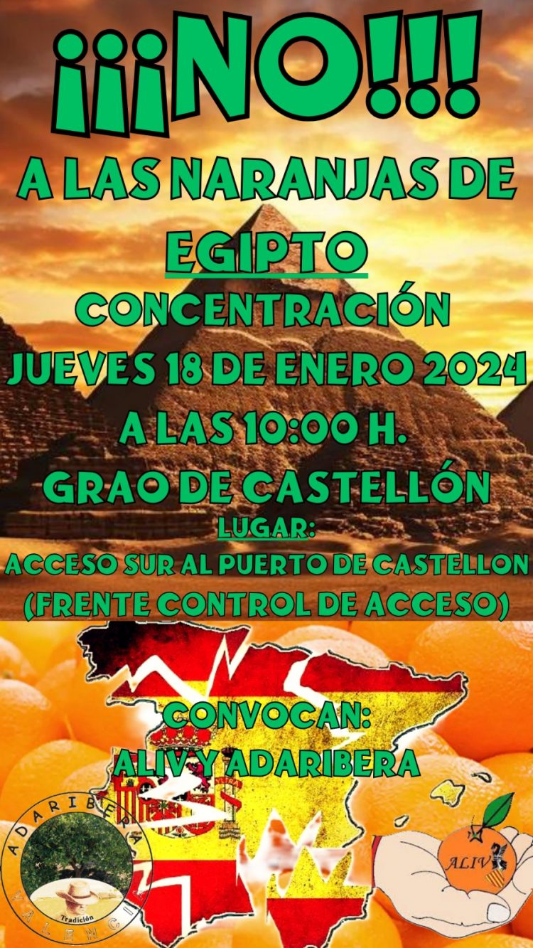 Buques ilegales están entrando en Castellón con 250000 toneladas de naranja egipcia que amenazan la salud de los españoles