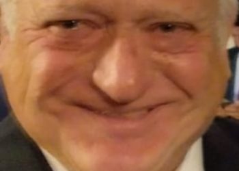 Los problemas ecológicos que afectan ya a los niños llegan hasta el Tribunal Europeo de Derechos Humanos ( TEDH ).