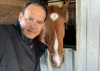 “Si un animal está reduciendo la frecuencia cardíaca y respiratoria en una cirugía, agarro una aguja que pongo en un punto de acupuntura y en 3 segundos ese animal comienza a respirar más profundo y su ritmo cardíaco aumenta. Es más rápido que cualquier químico. Lo hice en cerdos, en vacas y podría hacerlo en humanos también en caso de emergencia”, explica el veterinario afincado en Houston, Texas, Carlos Sáenz Scott.