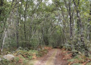 ¿Quién va a querer vivir al lado de una fábrica de celulosa?, se preguntan los gallegos del valle de Ulloa, en Lugo