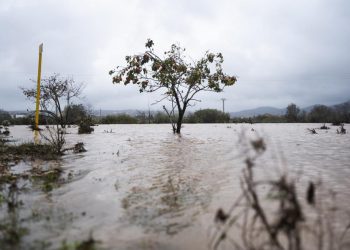 Cómo ayudar a los afectados por la DANA