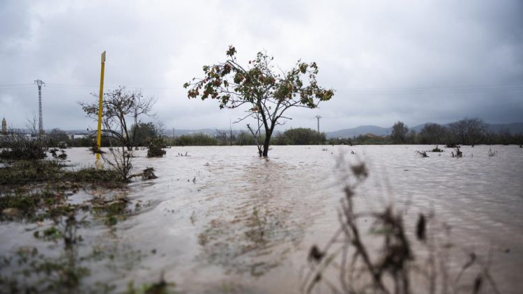 Cómo ayudar a los afectados por la DANA