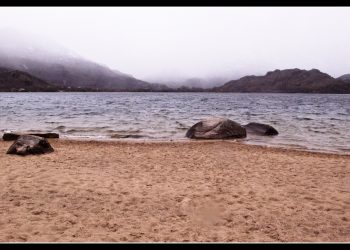 EL PUEBLO SALVA AL PUEBLO