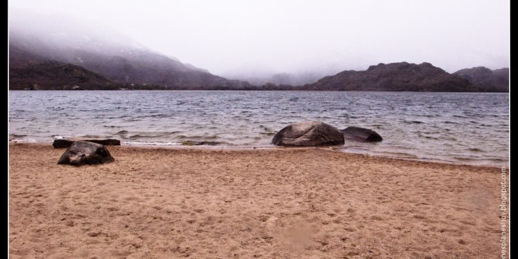 EL PUEBLO SALVA AL PUEBLO