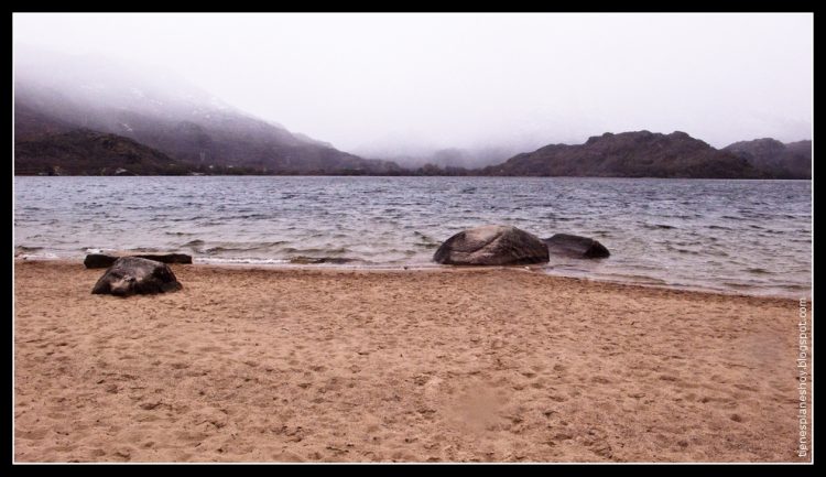 EL PUEBLO SALVA AL PUEBLO