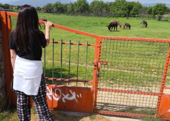 Mira las imágenes y dinos dónde crees que pasamos el fin de semana pasado