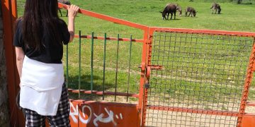 Mira las imágenes y dinos dónde crees que pasamos el fin de semana pasado